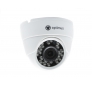 the alt