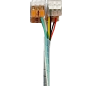 the alt