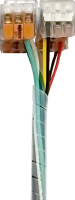 the alt