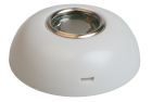the alt